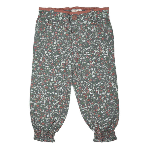 POPLIN AOP