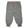 POPLIN AOP